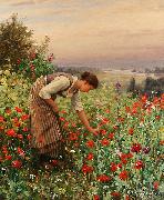 Daniel Ridgeway Knight, Girl Picking Poppies